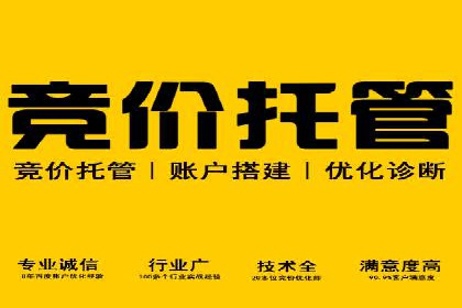 搜索引擎营销（SEM）广告投放的五大成功案例